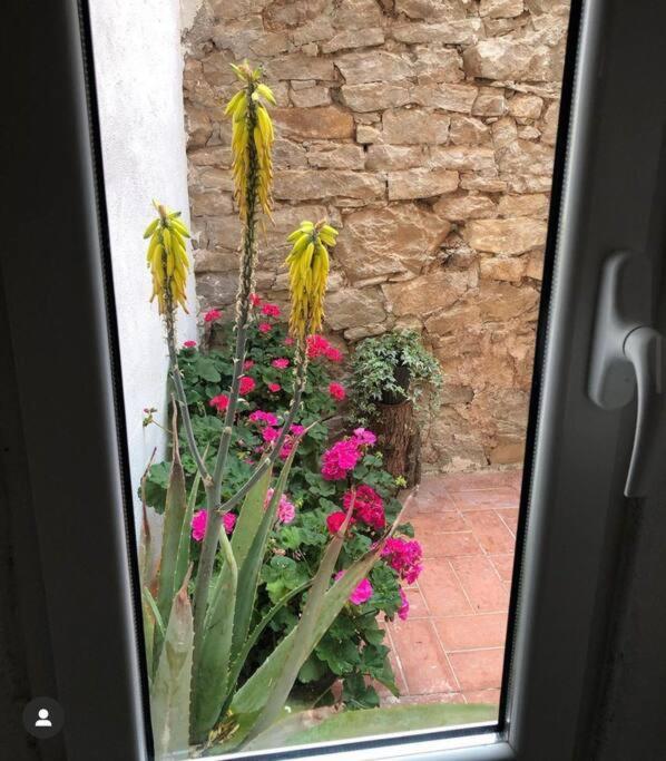 הוילה Solivella Casa Andorinhas 1 מראה חיצוני תמונה